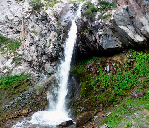 Жарыяга мисал